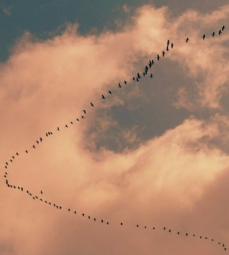 מדריך להחזרת הניצוץ